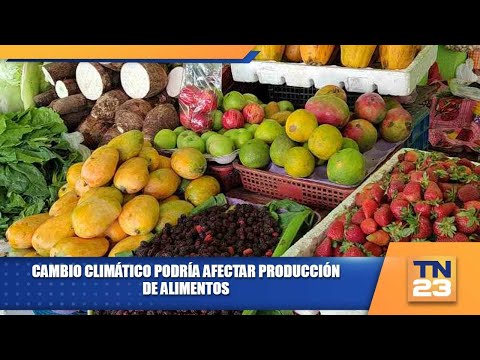 Cambio climático podría afectar producción de alimentos