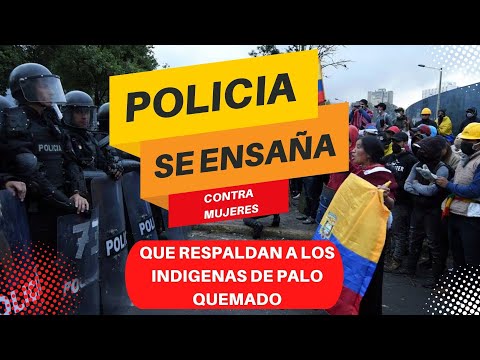 Represión en Quito: La Policía Nacional Actúa Contra Manifestantes en Solidaridad con Palo Quemado