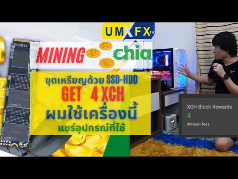 ขุดเหรียญ-Chia-ได้-4-XCH-ผมใช้ ขุดเหรียญ-Chia-ได้-4-XCH-ผมใช้