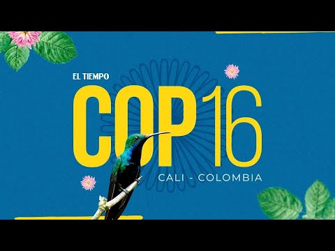 Presidente Petro pide una 'zona candado' para evitar que la violencia afecte la COP16 | El Tiempo