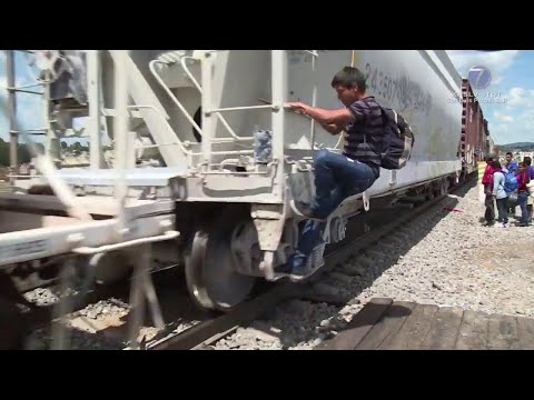 Autoridades reportan reducción del flujo migratorio en tren
