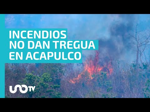 Incendio en El Veladero de Acapulco consume 40 hectáreas de área protegida