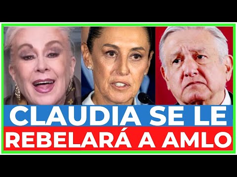 La LUCHA por la PRESIDENCIA: SHEINBAUM vs. AMLO y ANDY ¡LAURA ZAPATA predice GUERRA!