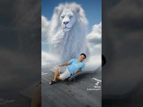 #lion#capcut#jenonawaphon