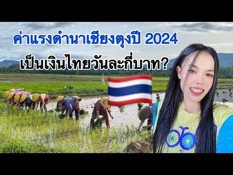 ทำไมเชียงตุงไม่ทำนาแบบไทย🇹🇭ค่