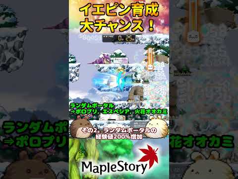 白の書ベタ貼りに職業イエピン超速育成の日曜日！[メイプルストーリー] #メイプルストーリー #maplestory