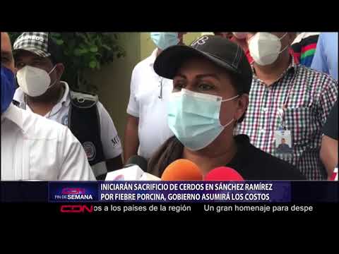 Iniciarán sacrificio de cerdos en Sánchez Ramírez por fiebre porcina, Gobierno asumirá los costos
