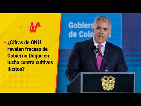 ¿Cifras de ONU revelan fracaso del gobierno Duque en lucha contra cultivos ilícitos?