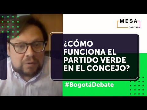 ¿Cómo funciona el Partido Verde en el Concejo