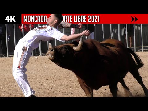 4K ? MONCADA ? CONCURSO DE RECORTE LIBRE 2021 CON TOROS DE RETA DE CASTA NAVARRA