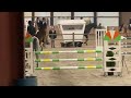 Show jumping horse Modus