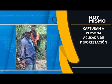Capturan a persona acusada de deforestación