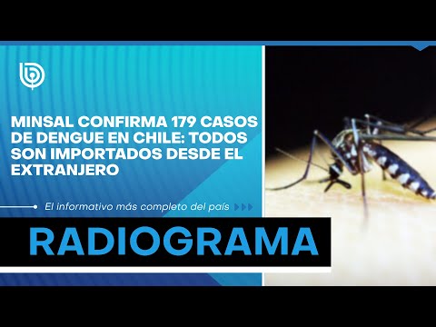 Minsal confirma 179 casos de dengue en Chile: todos son importados desde el extranjero