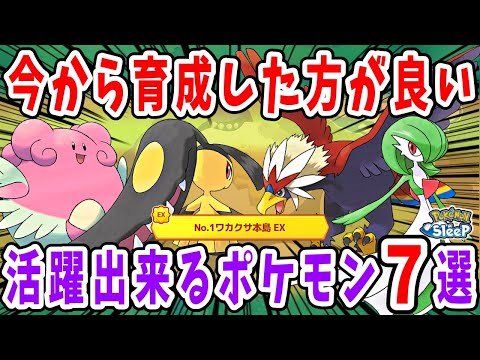 今から育成しておいた方が良いワカクサ本島EXで活躍するポケモン7選【ポケモンスリープ】