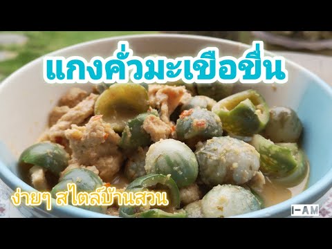แกงคั่วมะเขือขื่น-เคล็ดลับเพีย แกงคั่วมะเขือขื่น-เคล็ดลับเพีย