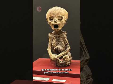 Recuestan a momias de Guanajuato para conservarlas mejor