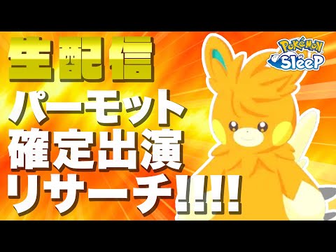 【ポケモンスリープ生配信】パモォォォォ!!!!!!