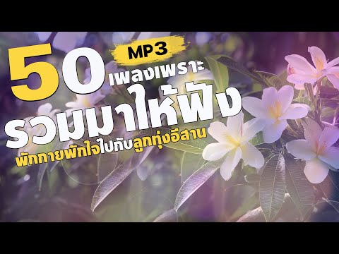 รวมมาให้ฟัง:50เพลงเพราะMP3