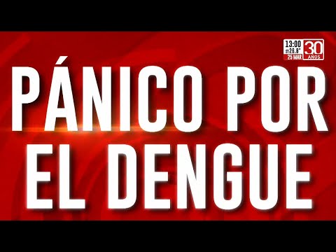 Alerta dengue: Chaco, la provincia más afectada