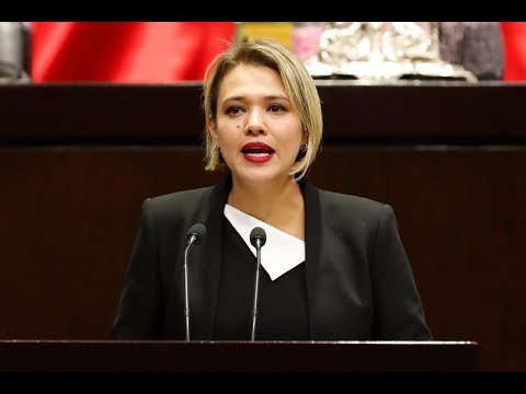 Dip. Lourdes Sánchez Martínez (PRI) - Ley Orgánica de la FGR