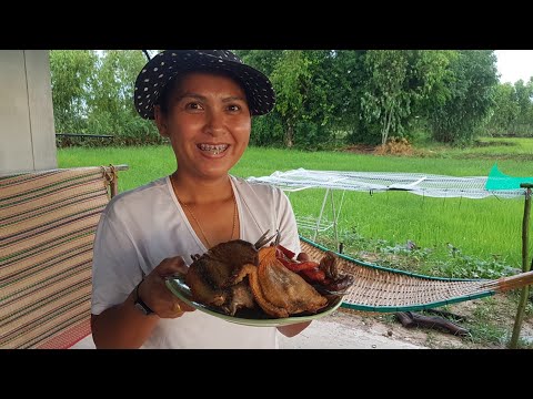 แจ้งข่าว-ลูกค้าท่านใดรอปลาไม่ไ แจ้งข่าว-ลูกค้าท่านใดรอปลาไม่ไ