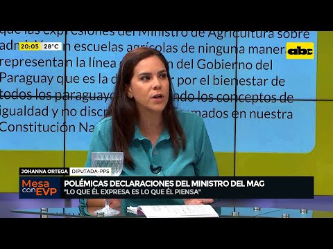 Ministro Homofóbico: lo que dice la diputada Johanna Ortega sobre las polémicas declaraciones