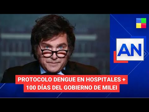 Protocolo dengue en hospitales + 100 días de Milei #AméricaNoticias | Programa completo (19/3/24)