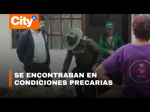 Rescatan a 14 caninos en Fontibón por presunto maltrato animal | CityTv