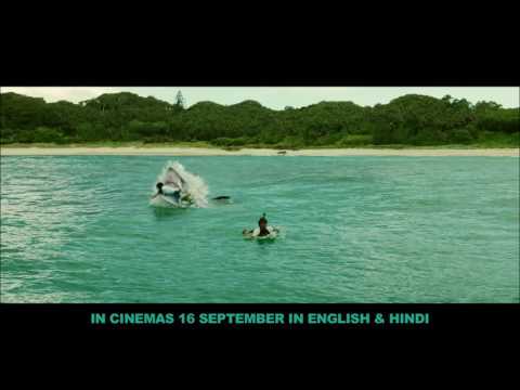 the shallows full movie in hindi online