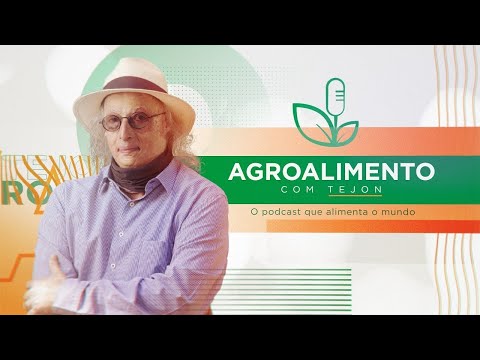 Agroalimento #13: O sistema financeiro e o agronegócio brasileiro