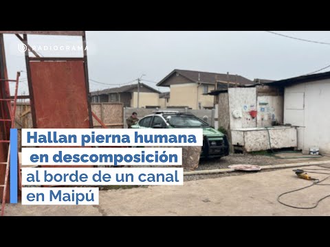 Hallan pierna humana en descomposición al borde de un canal en Maipú