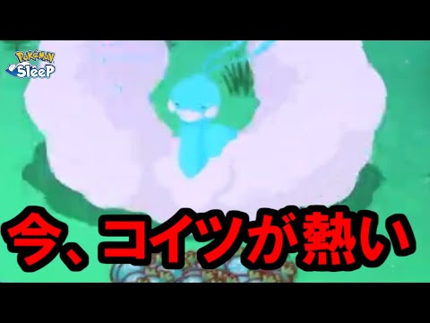 チルタリス育成が、未来につながる。【ポケモンスリープ】