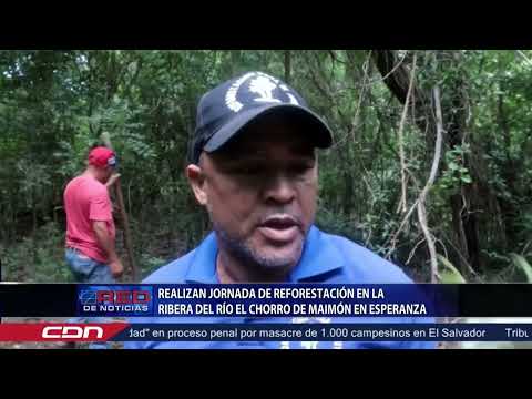 Realizan jornada de reforestación en la ribera del río El Chorro de Maimón en Esperanza