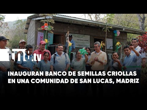 Productores de San Lucas en Madriz cuentan con banco de semillas de granos básicos
