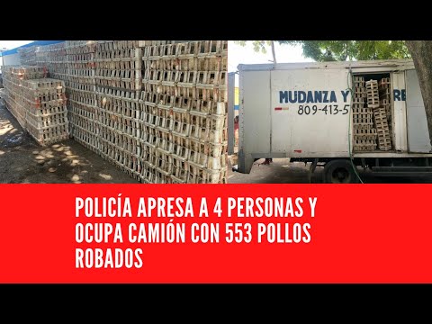 POLICÍA APRESA A 4 PERSONAS Y OCUPA CAMIÓN CON 553 POLLOS ROBADOS