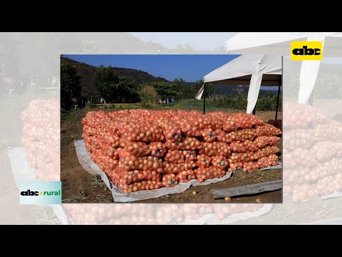 Productores de cebolla de Ybytymi piden lucha al contrabando