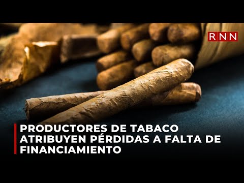 Productores de tabaco atribuyen pérdidas a falta de financiamiento
