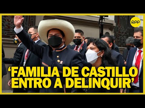 Graciela Villasís: “La familia de Castillo entró para delinquir”