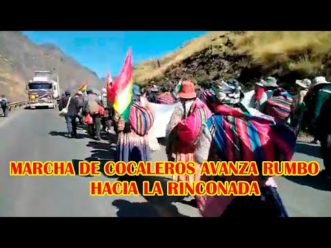 ASI VAN CUARTO DIA DE LA MARCHA DE COCALEROS VAN RUMBO HACIA LA PAZ BOLIVIA...