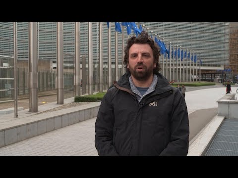 AP explains the European Parliament elections