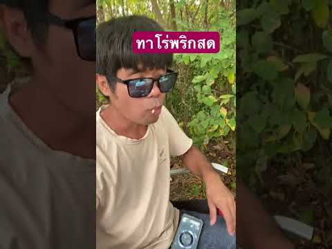 สูตรใหม่ทาโร่พริกสดอร่อย￼