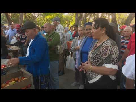 Feria agropecuaria popularmente conocida como ¨el chapuzón¨ se realiza cada sábado en Bayamo