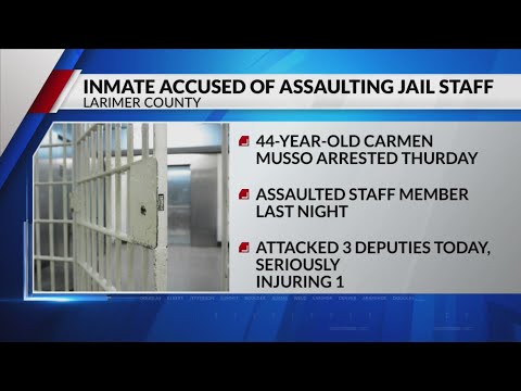 Arrested man attacks staff, deputies at Larimer County jail