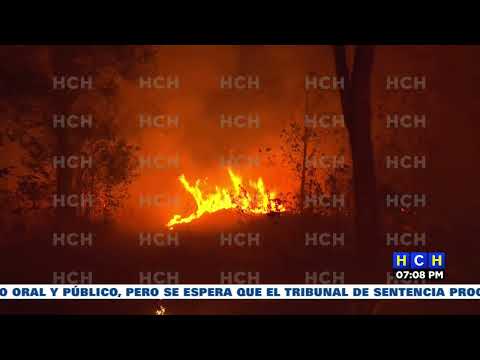 ¡Arde en llamas! El cerro de Zarabanda, Santa Lucía, está siendo consumido por el fuego