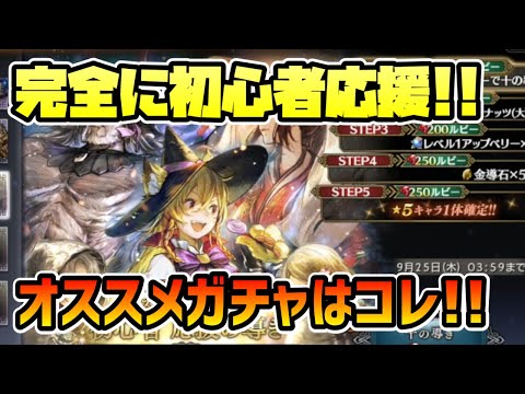 マジで今キテるのか!? 大陸の覇者の初心者応援ガチャ!! オススメの導きを解説します!!【オクトパストラベラー 大陸の覇者】