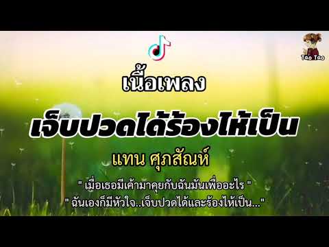 เจ็บปวดได้ร้องไห้เป็น---แทน-ศุ เจ็บปวดได้ร้องไห้เป็น---แทน-ศุ
