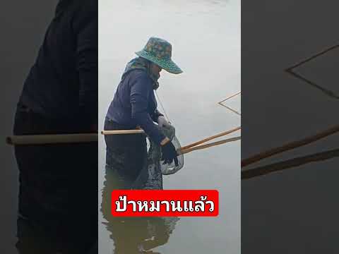 phatta supasit ยกยอหมานๆป้ายกทีได้ลุ้นตลอดภัตตาคารบ้านนาfishingหาอยู่หากินป