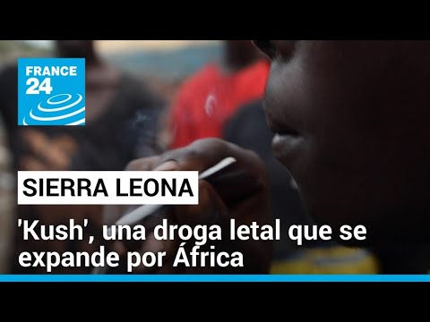 'Kush', la devastadora droga sintética que tiene en emergencia a Sierra Leona • FRANCE 24 Español