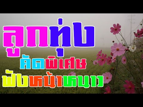 รวมเพลงลูกทุ่งฟังหน้าหนาว