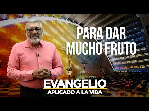 PARA DAR MUCHOS FRUTOS | Evangelio Aplicado (SAN JUAN 15, 1-8) - SALVADOR GOMEZ